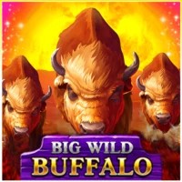 game logo by Belatra Games on domusbetscasino.it